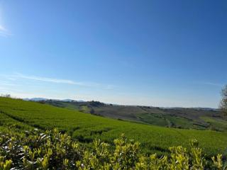 Inviting Holiday Home in San Costanzo with Swimming Pool - 5