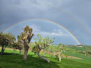 Inviting Holiday Home in San Costanzo with Swimming Pool - 8