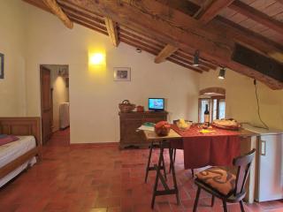 Attractive apartment in old farmhouse on the estate with pool - Umbertide - 3
