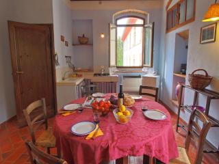Attractive apartment in old farmhouse on the estate with pool - Umbertide - 1
