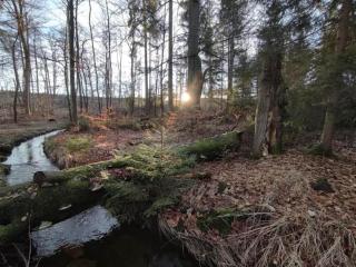 Holiday homes in the Schierke Harzresort on the Brocken, Schierke - Schierke - 5