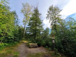 Holiday homes in the Schierke Harzresort on the Brocken, Schierke - Schierke - 1
