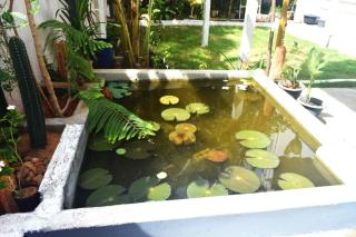 VINGS Home Stay, Puducherry - 6