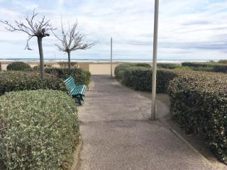 Les vagues du Sud - 5