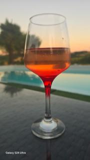 Villa Epis Tournesols - Coueilles - 4