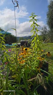 Villa Epis Tournesols - 1
