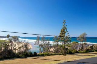 Dolphin Views - 5