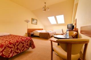 Apartamenty Renesans - Krynica Zdrój - 7
