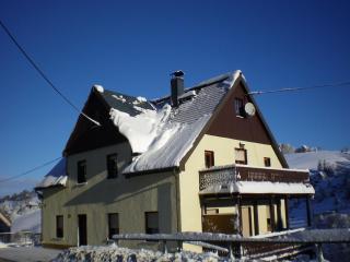Cozy Ski Base with Garden - 4