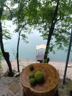House Maclura Jablanica Lake - 5