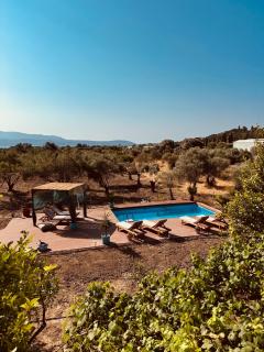 Villa Feronia Samos - Mesókampos - 6