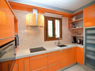 Luxury Villa Near Costa Blanca - Algorfa - 4