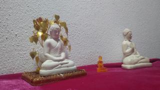 Dream Nature Villa - Weligama - 2