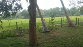 Dream Nature Villa - Weligama - 8