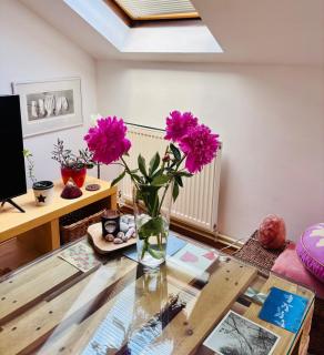 Apartmán Stella - Jablonec nad Nisou - 7