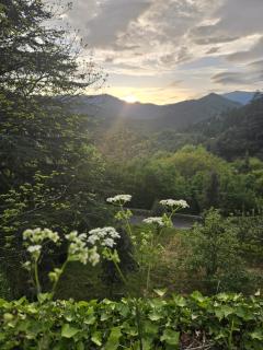 Perched Nest in Cevennes Mountains, relaxing place - Notre-Dame-de-la-Rouvière - 9