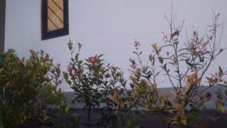 Dream Nature Villa - Weligama - 1
