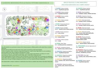 Vittoria Garden Suites - Roma - 4