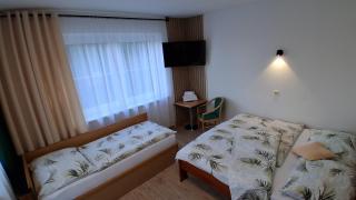 Penzion U Libuše Luleč - Luleč - 4