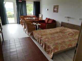 Rolligerechtes Appartement mit Terrasse und Garten - Zandt - 2
