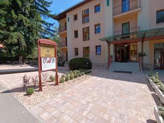 Hotel Anna Mátrafüred - Mátrafüred - 0