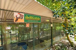 Tapovan Happiness Valley - 9