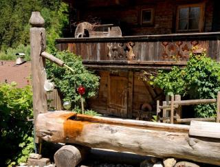 Forsthaus Daringer - 6