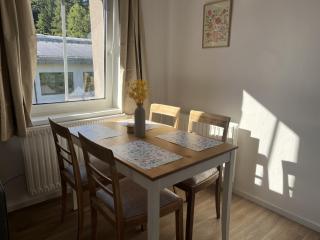 Rodinný apartmán mezi městem a horami - Liberec - 1