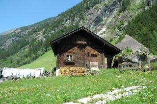 Zillertaler Stillupp Chalet by FeWo-Plan - Dornauberg - 7