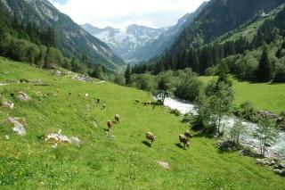 Zillertaler Stillupp Chalet by FeWo-Plan - Dornauberg - 6