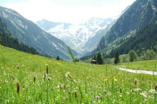 Zillertaler Stillupp Chalet by FeWo-Plan - Dornauberg - 5