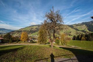 Bauernhaus Brixen - Bichling - 6