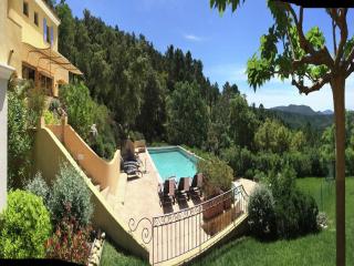 Villa in Le Muy with Private Pool and Lake - Le Muy - 3