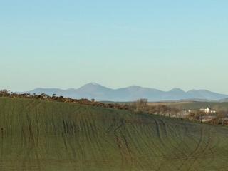 Little Twin View - 3