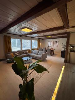 Villa Syväsenvaara - Rovaniemi - 7
