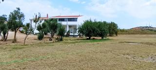 Il giardino del Sole - Florinas - 0