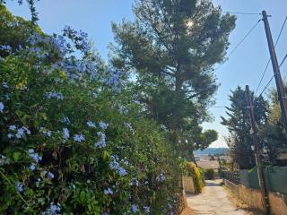 T2 piscine privée Les Charmettes - 2