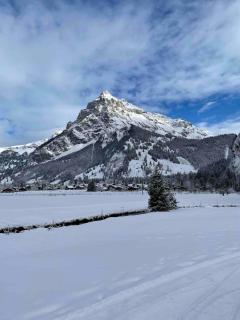 Cozy chalet in Kandersteg - 6