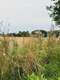 Heiderast Wipperau - Oetzen - 8
