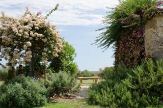 Essentia Vendicari - The Hidden Reserve - 9