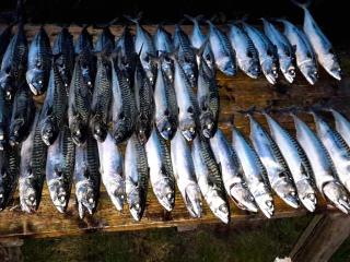 10 person holiday home in Kaldfarnes-By Traum - 2