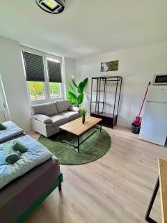 Larooms - WhiteRock#3 - StudioApartment - Merseburg - 9