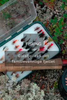 No71 Golsfjellet - Gol - 6