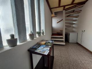 Apartments Oliva - 5