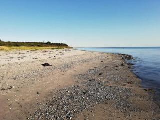 8 person holiday home in Ebeltoft - Ebeltoft - 3