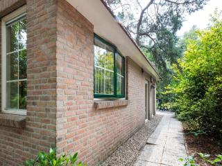 Holiday Home in Beerze near Forest - Beerze - 5
