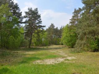 Holiday Home in Beerze near Forest - Beerze - 2
