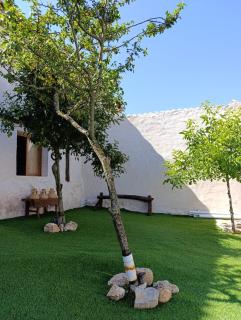 La Casona de Alan-Brú - Boceguillas - 7