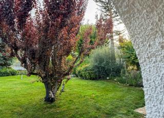 Complejo El Molinico - 5