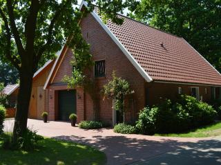 Lindern Woodland Mansion - Werlte - 4